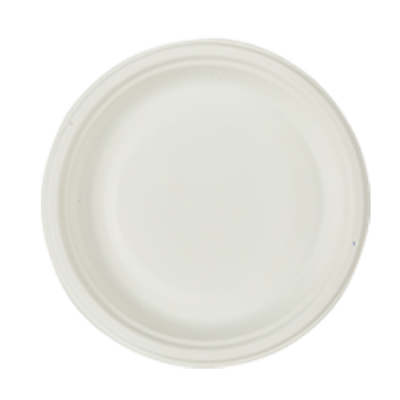 Bagasse(SugerCane) Biodegradable, 10” Deep Plate - 27 mm Deep