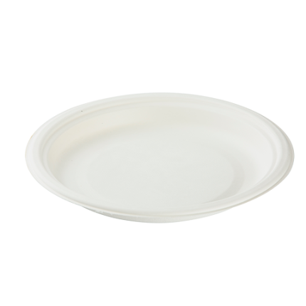 Bagasse(SugerCane) Biodegradable, 10” Deep Plate - 27 mm Deep