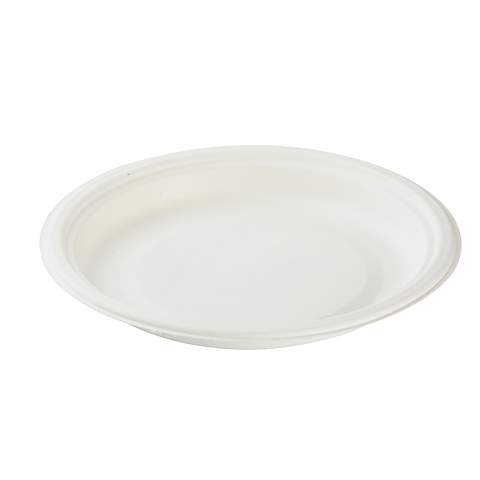 Bagasse(SugerCane) Biodegradable, 10” Deep Plate - 27 mm Deep