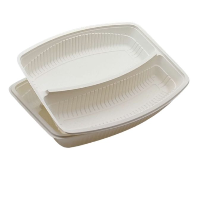 nazifdish-Biodegradable-2-Compartment-Tray-01.