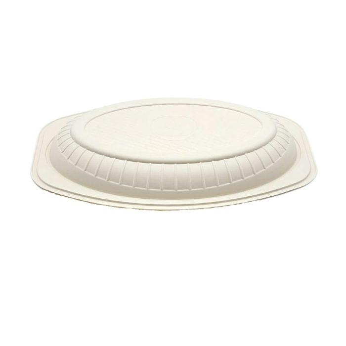 nazifdish-Biodegradable Tray-02