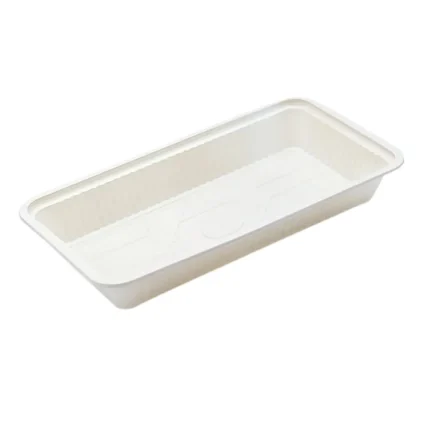 nazifdish-Large-Biodegradable-Bento-Boxes-One-Compartment-Body-01