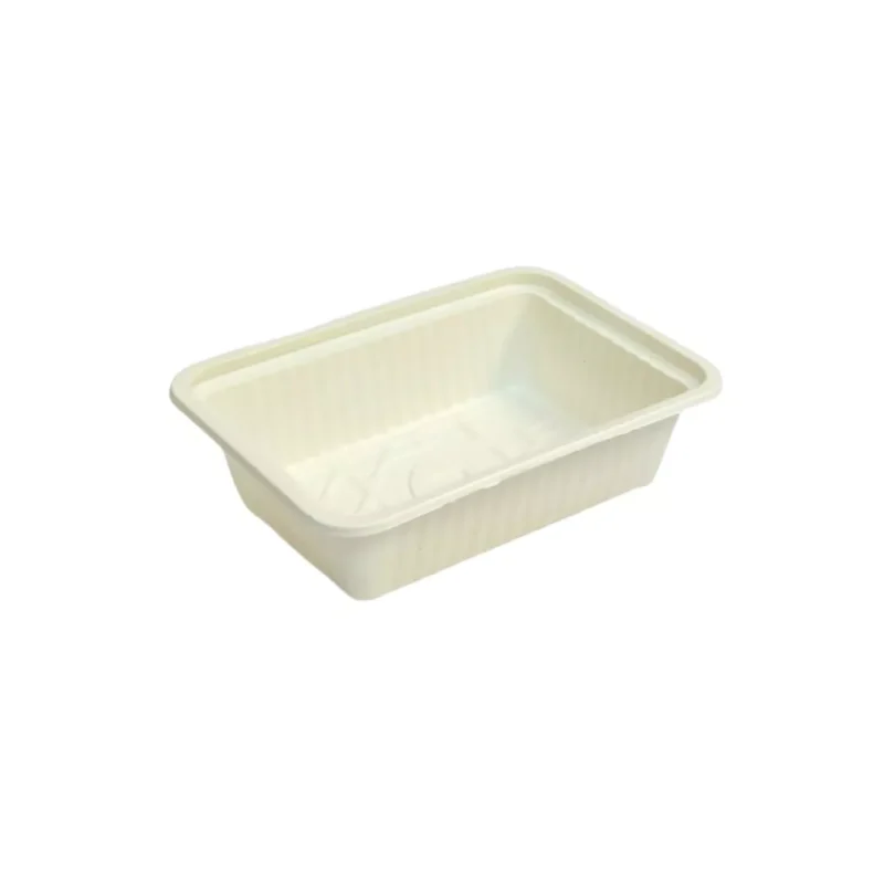 nazifdish-Small Biodegradable Takeaways Containers 01