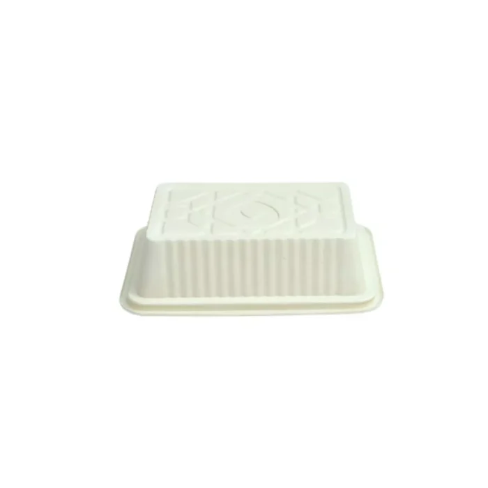 nazifdish-Small Biodegradable Takeaways Containers 01