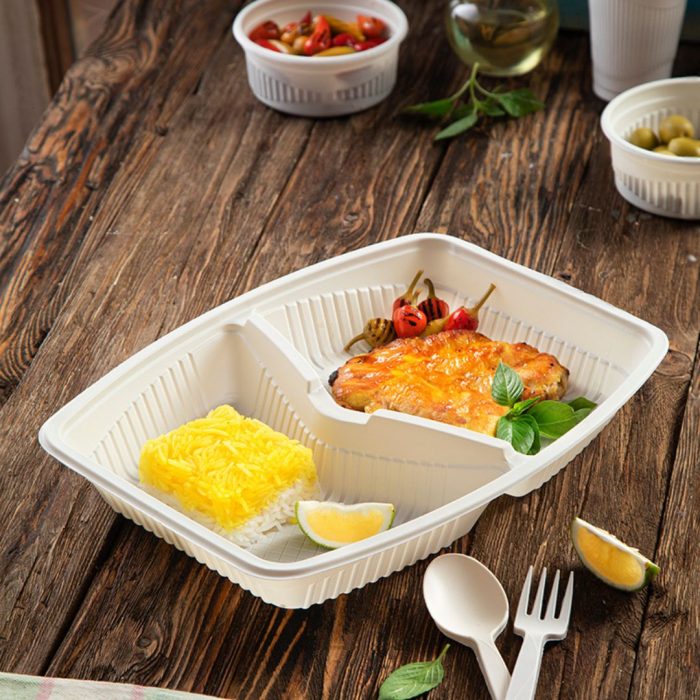 nazifdish-Two-Compartment-Tray-01